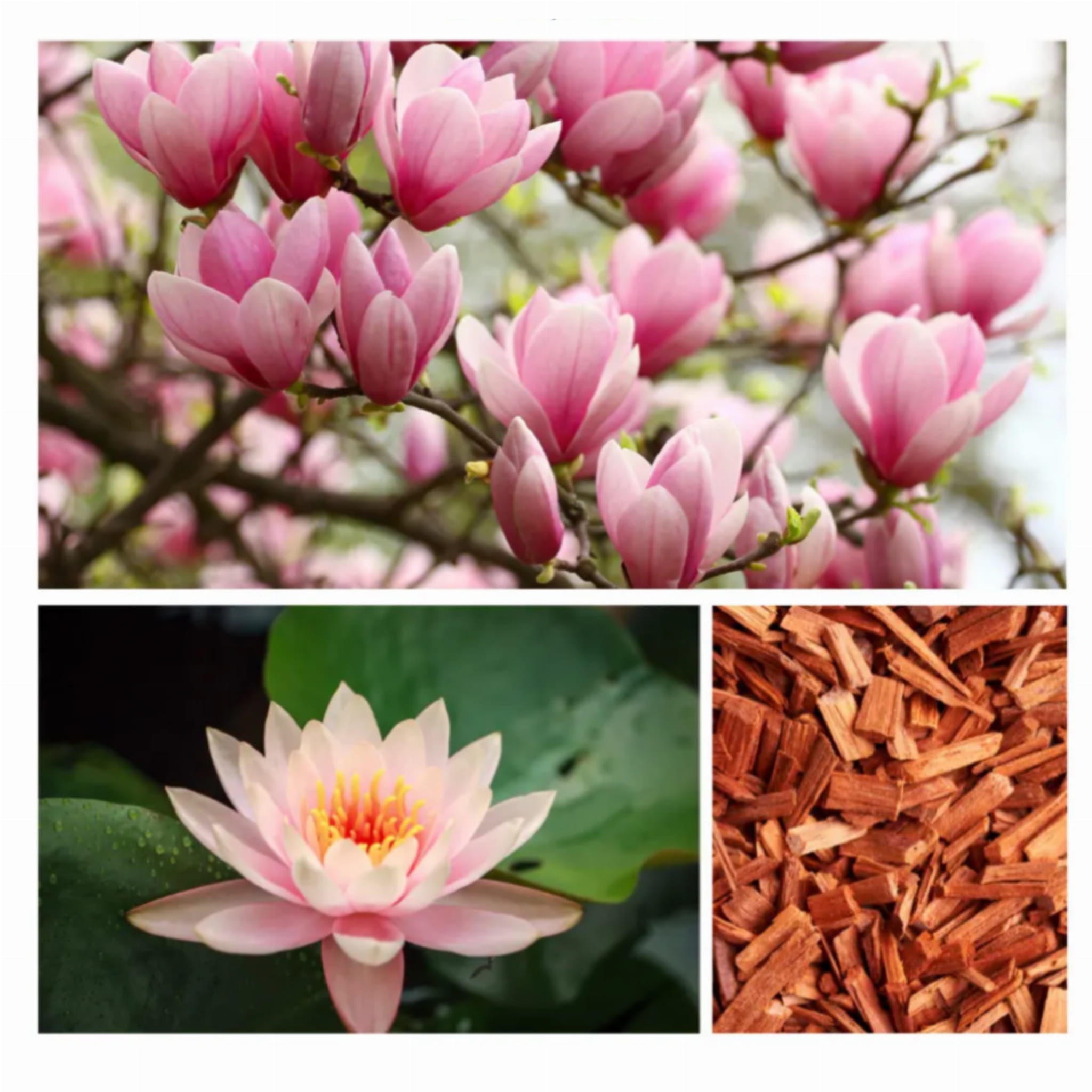 warm up for fun pianka kąpiel dzieci dorośli piana dresdner essenz