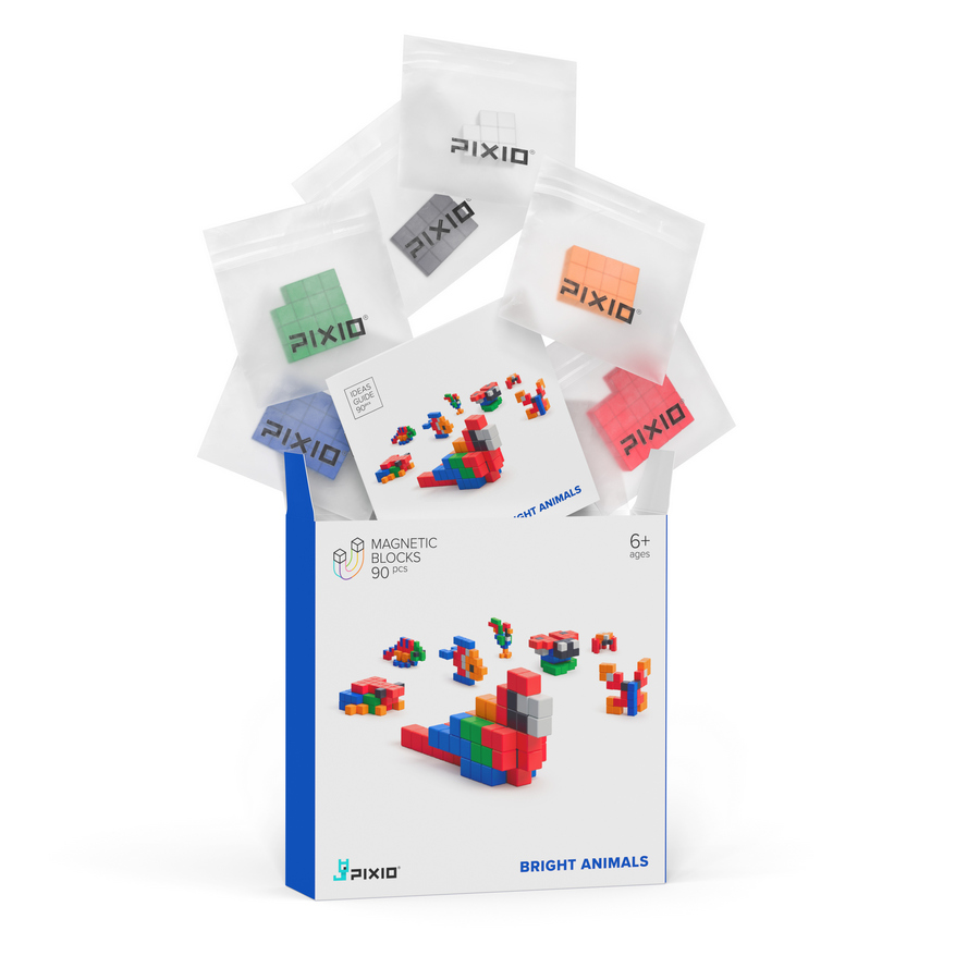 Klocki Pixio – instrukcja i przykładowe konstrukcje