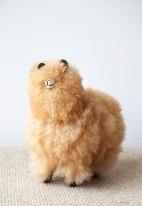 alpaka baby plush toy