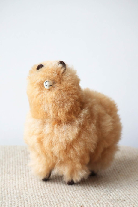 alpaka baby plush toy