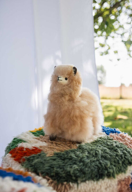 przytulanka alpaka bellepaga carlos