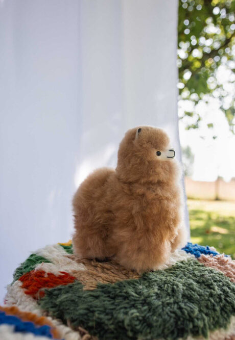 przytulanka alpaka bellepaga guillermo