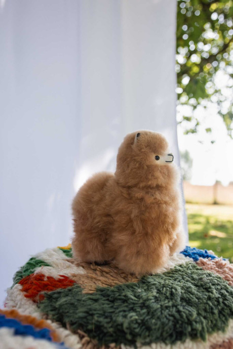 przytulanka alpaka bellepaga guillermo