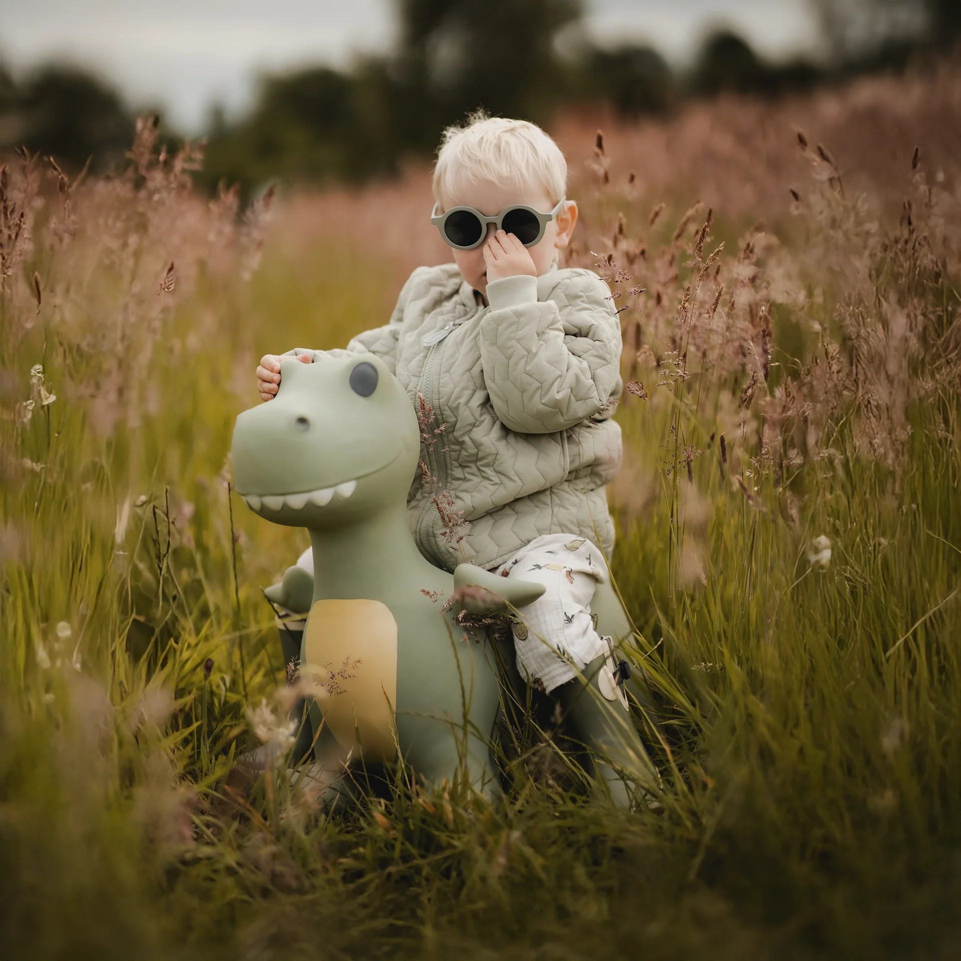 Skoczek Dexter Dinozaur Find That Hippo